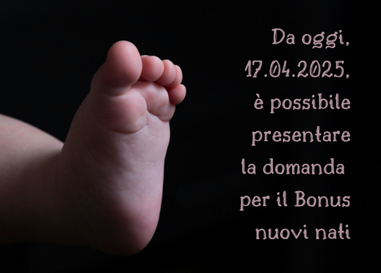 da oggi presenta domanda bonus nati.png